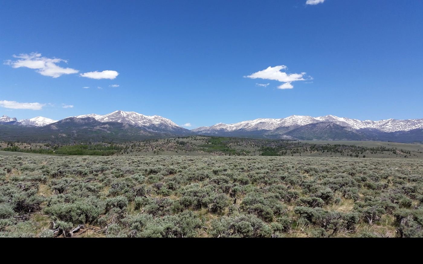 Sagebrush rangeland below the Wind River Range in Wyoming
