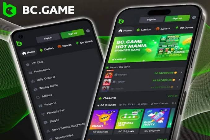 Understanding BC.Game Payment Methods Understanding BC.Game Payment Methods